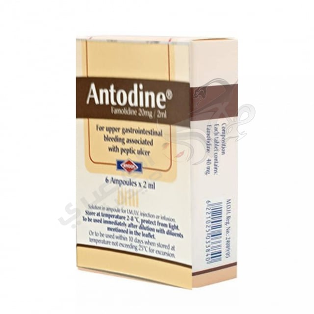 ANTODINE 6AMP